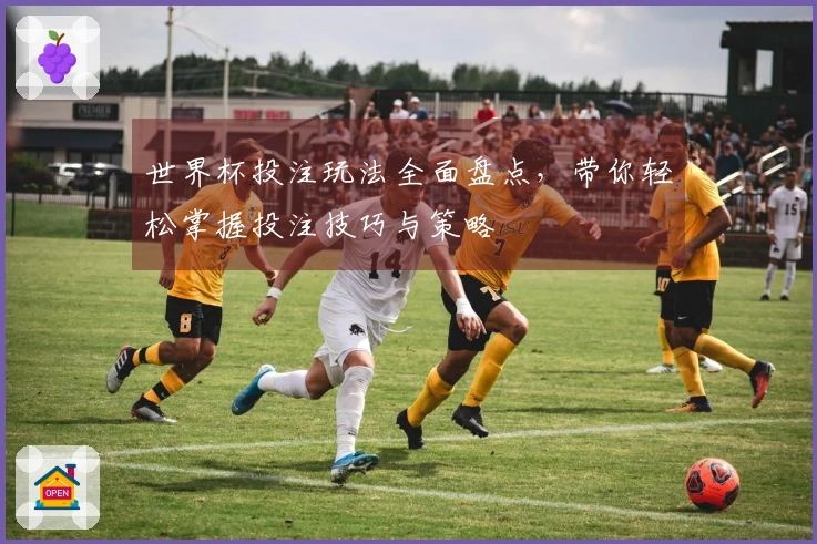 世界杯投注玩法全面盘点，带你轻松掌握投注技巧与策略
