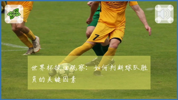 世界杯投注观察：如何判断球队胜负的关键因素
