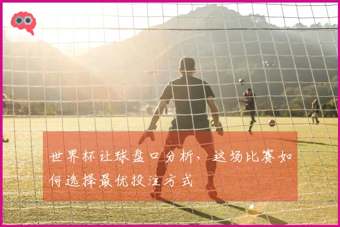 世界杯让球盘口分析，这场比赛如何选择最优投注方式