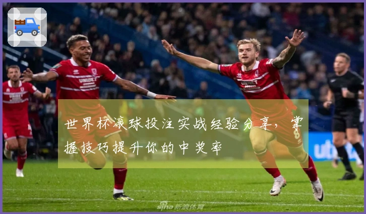 世界杯滚球投注实战经验分享，掌握技巧提升你的中奖率