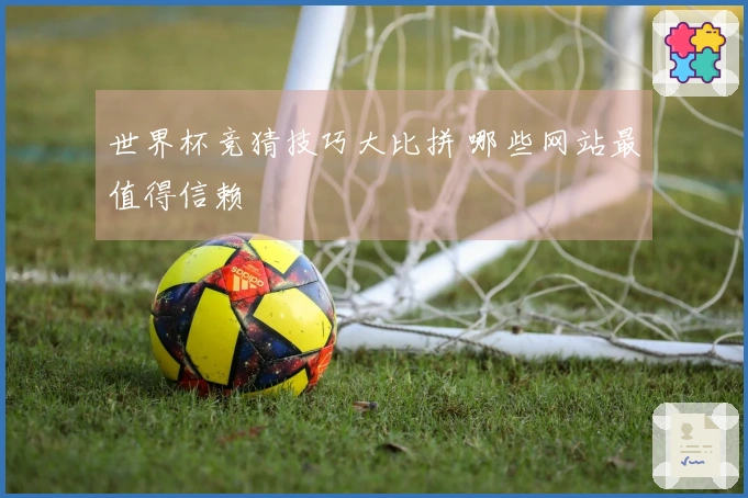 世界杯竞猜技巧大比拼 哪些网站最值得信赖