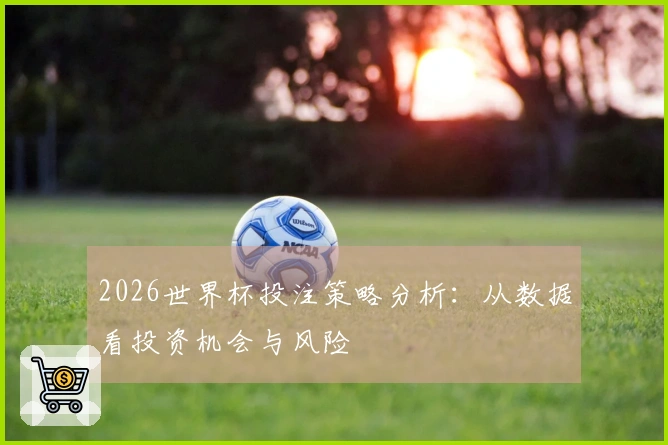 2026世界杯投注策略分析：从数据看投资机会与风险