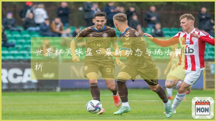世界杯买球盘口最新动态与玩法解析
