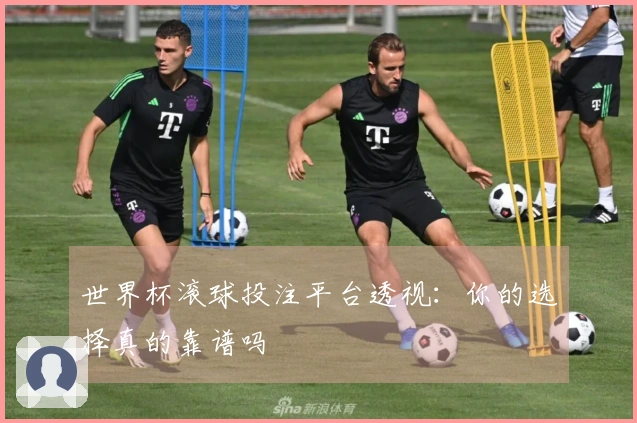 世界杯滚球投注平台透视：你的选择真的靠谱吗