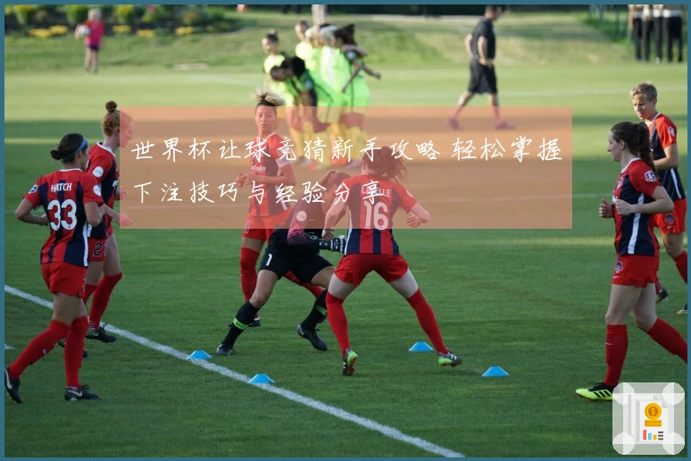 世界杯让球竞猜新手攻略 轻松掌握下注技巧与经验分享