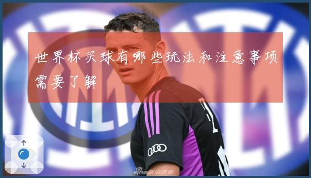 世界杯买球有哪些玩法和注意事项需要了解