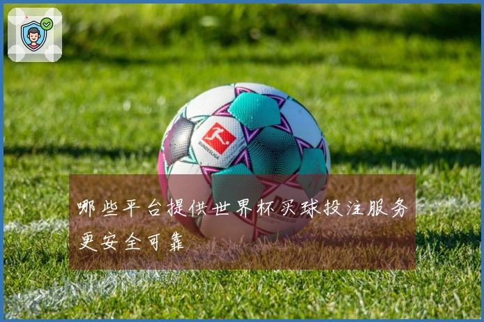 哪些平台提供世界杯买球投注服务更安全可靠