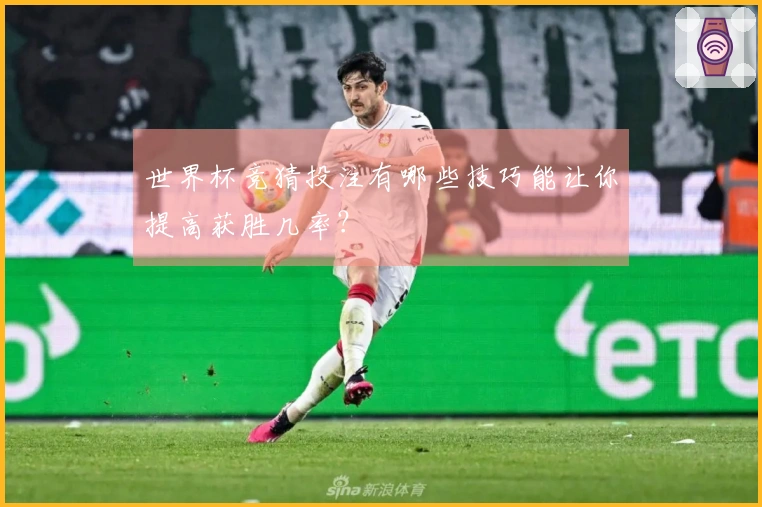 世界杯竞猜投注有哪些技巧能让你提高获胜几率？