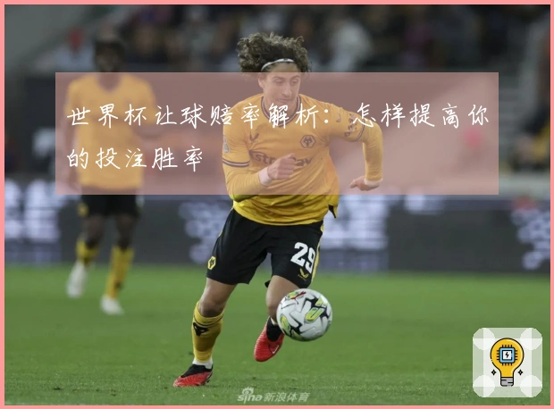 世界杯让球赔率解析：怎样提高你的投注胜率