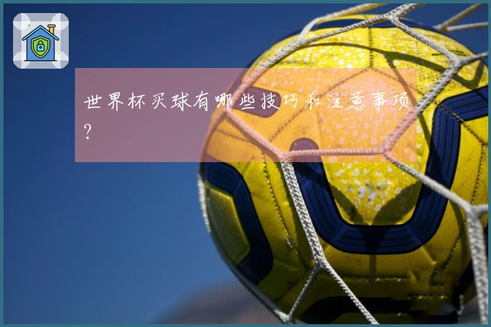 世界杯买球有哪些技巧和注意事项?