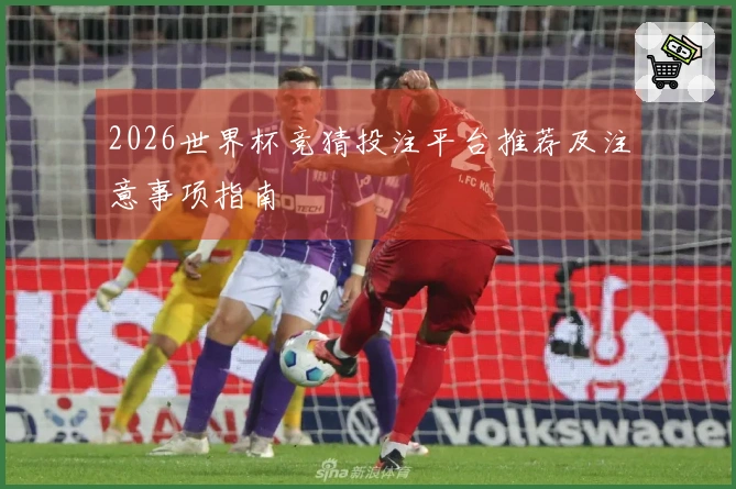 2026世界杯竞猜投注平台推荐及注意事项指南