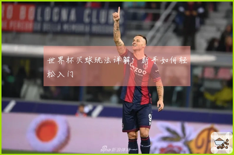 世界杯买球玩法详解：新手如何轻松入门